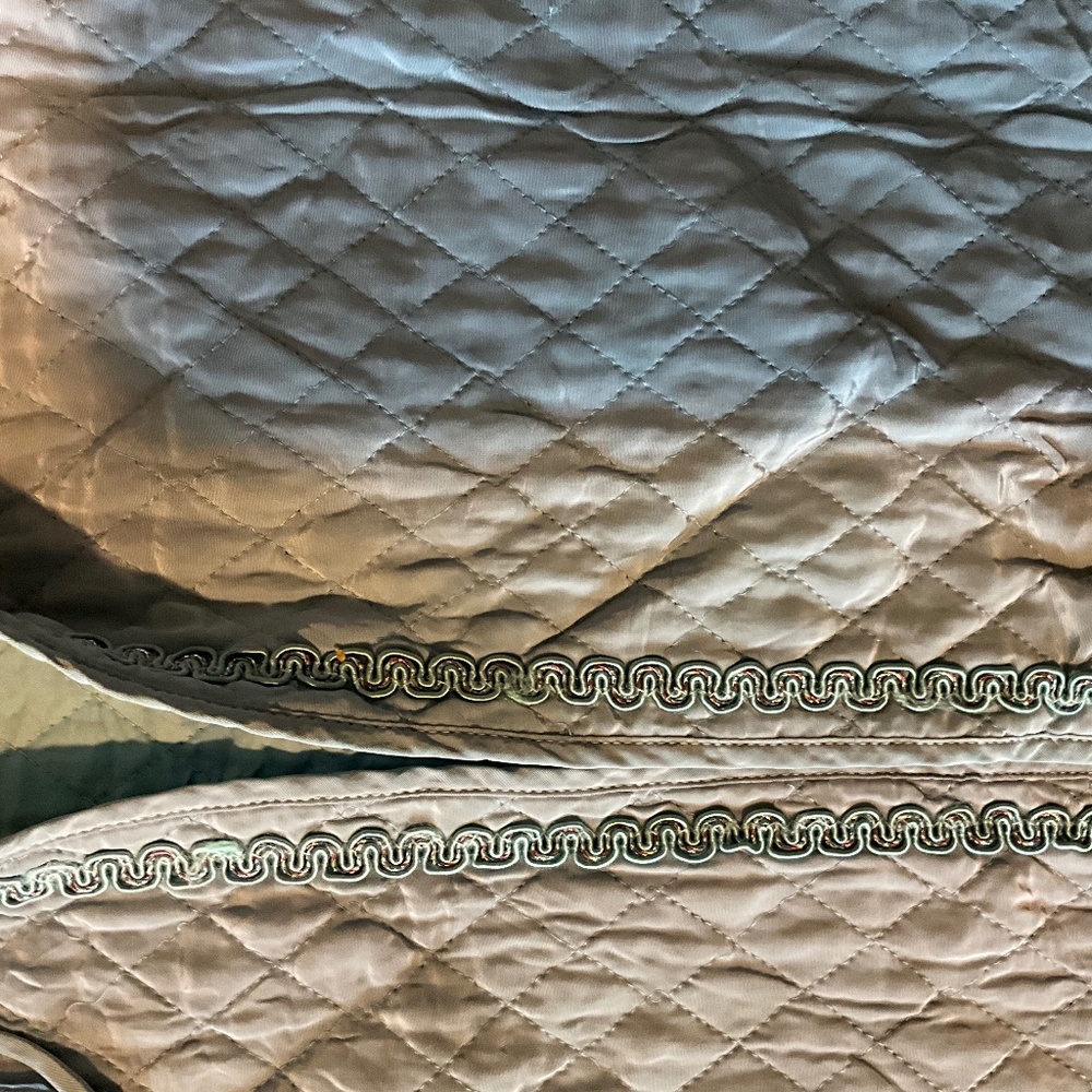 Antique 1920 dress cover